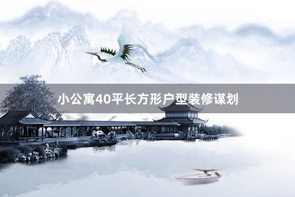 小公寓40平长方形户型装修谋划
